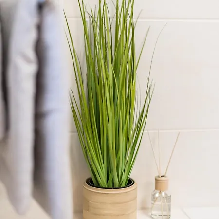 Cozyhomz Bis 5 Personen Mit Stellplatz * Dresden