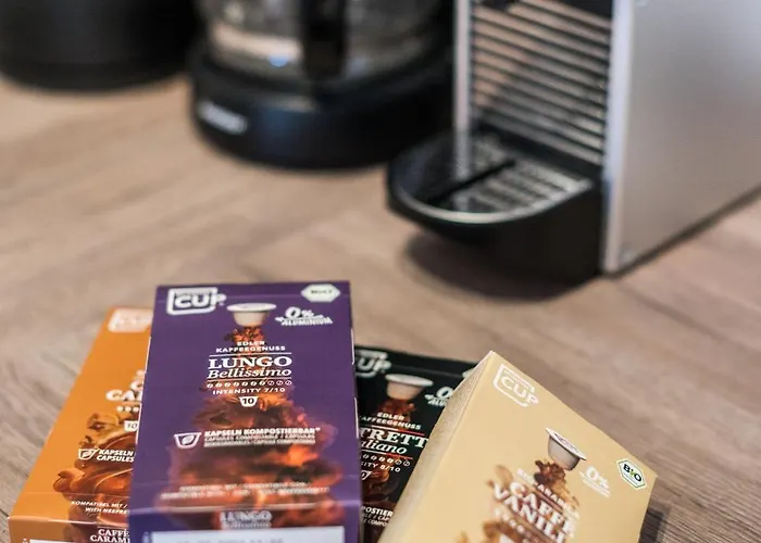 Cozyhomz Bis 5 Personen Mit Stellplatz Apartment Dresden