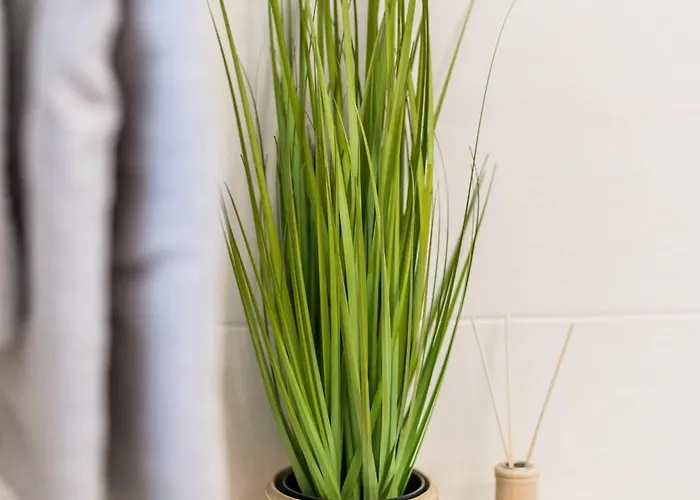 Cozyhomz Bis 5 Personen Mit Stellplatz * Dresden