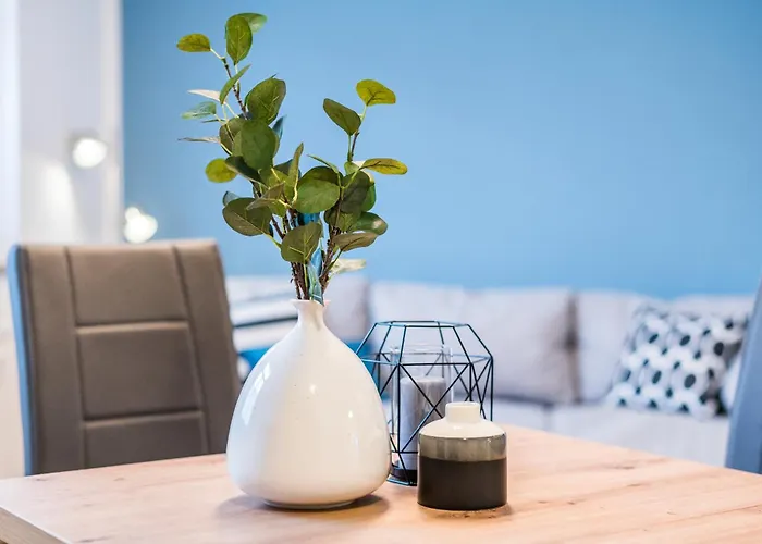 Apartment Cozyhomz Bis 5 Personen Mit Stellplatz Dresden